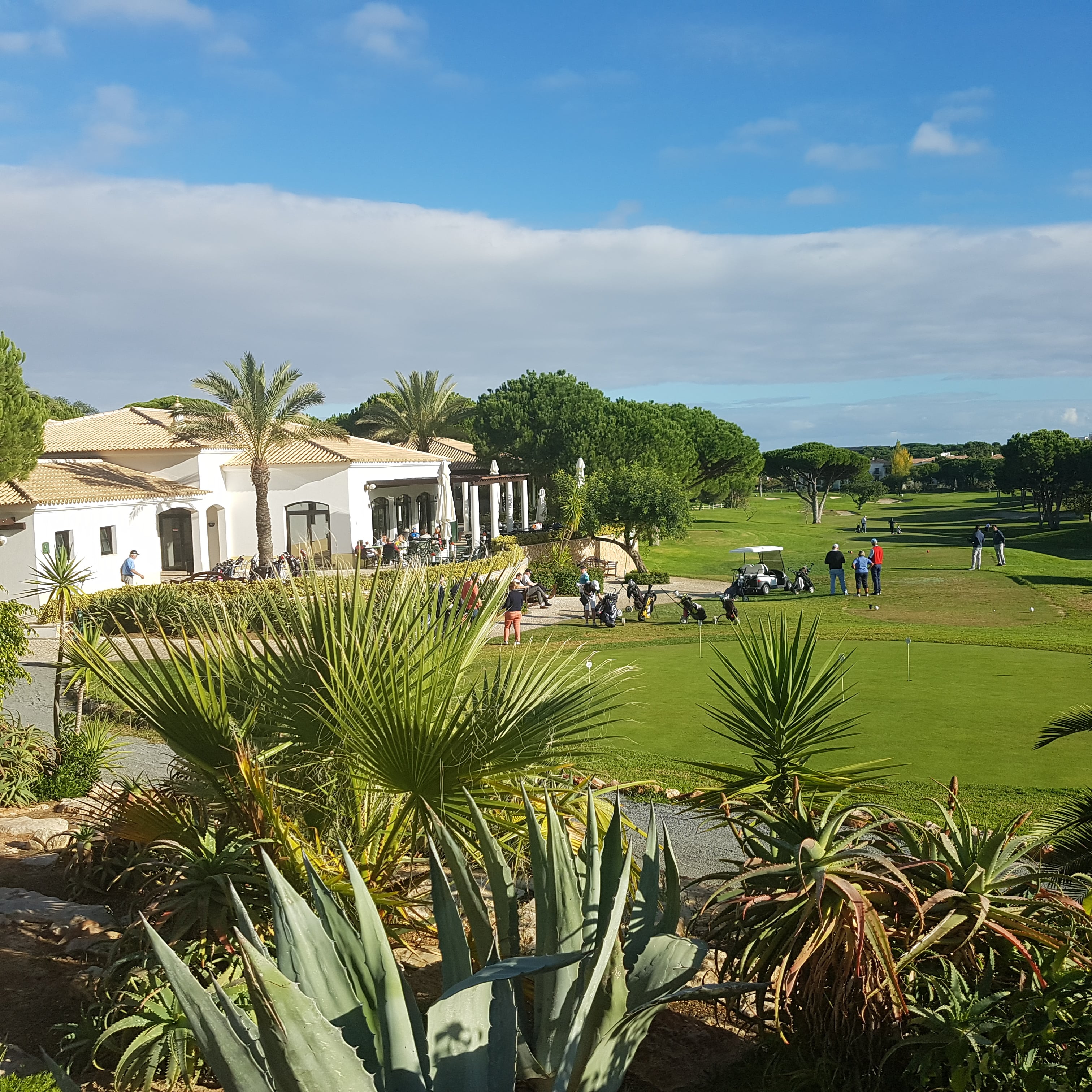 Algarves_golf.jpg