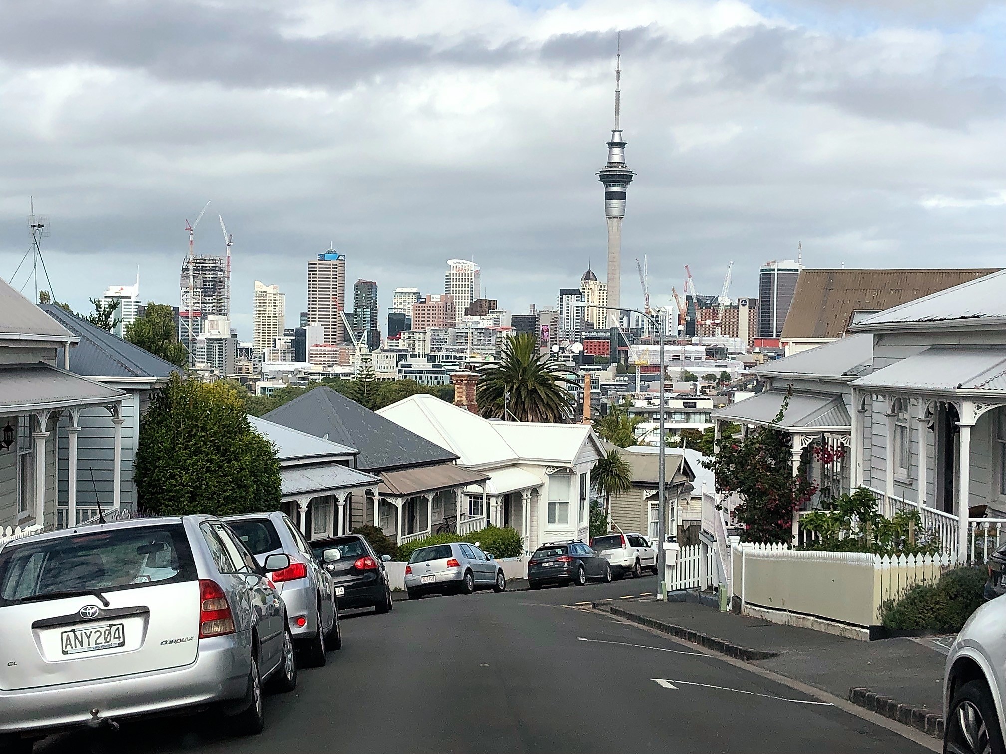 Awesome Auckland, NZ